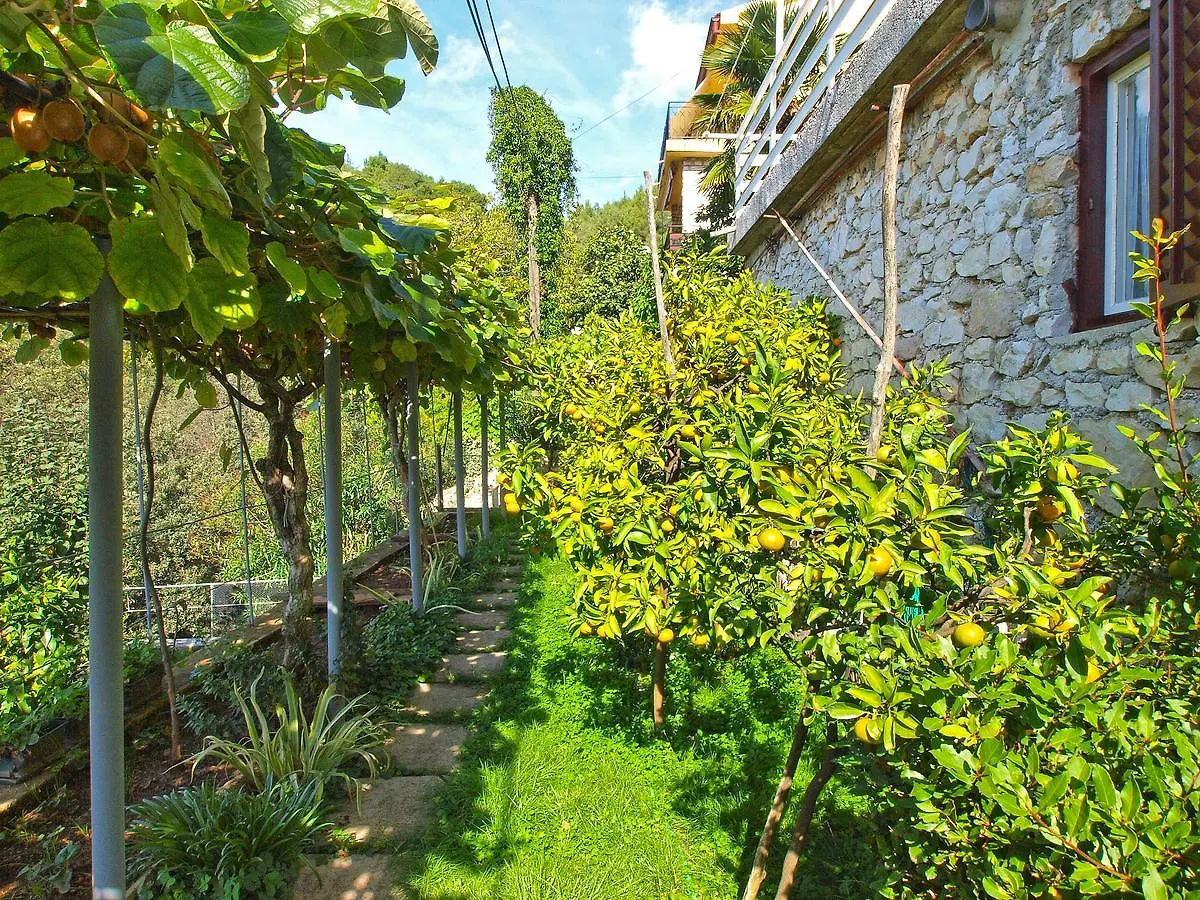 Apartments Boris 154 Rabac